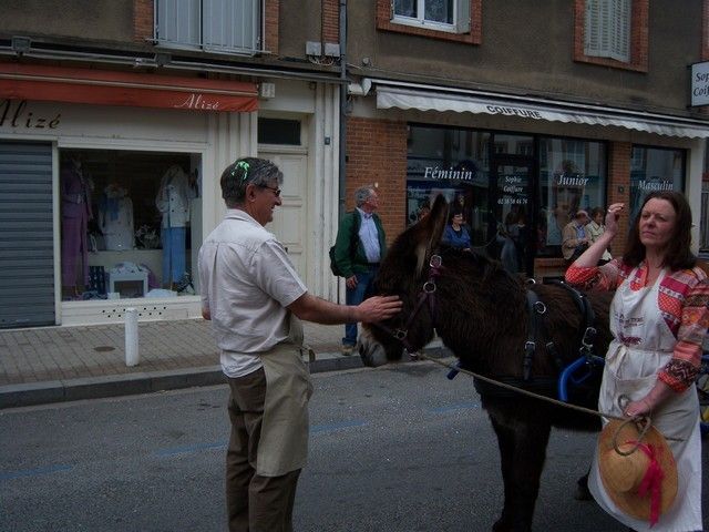 carnaval 2010 (34).jpg